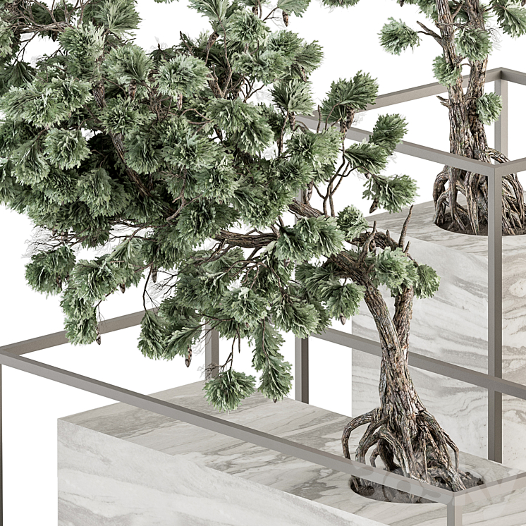 indoor Plant Set 358 – Bonsai Set Plant in pot 3DS Max Model - thumbnail 2