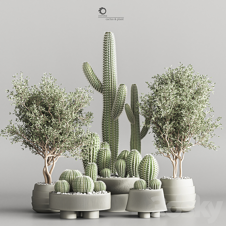 Cactus & plant vol 01 3DS Max Model - thumbnail 1