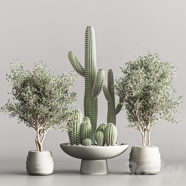 Cactus & plant vol 01 3DS Max Model - thumbnail 2