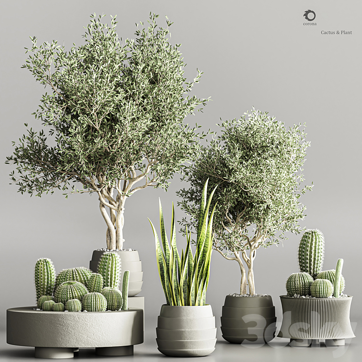 Cactus & plant vol 02 3DS Max Model - thumbnail 1