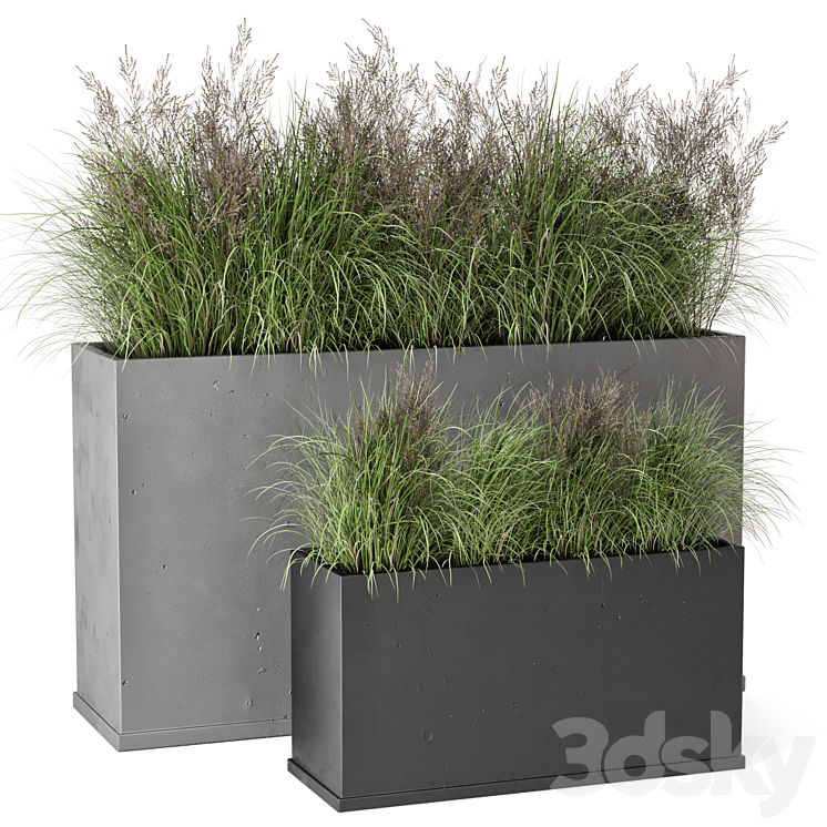 Outdoor Plants Bush in rusty Concrete Pot – Set 565 3DS Max Model - thumbnail 1