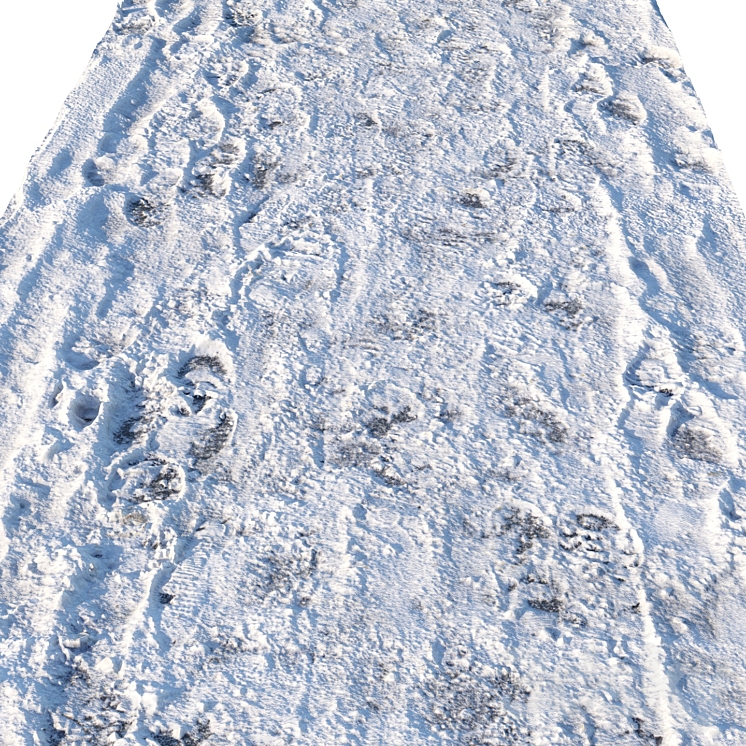 Winter footpath 04 (8 meters) Free Download