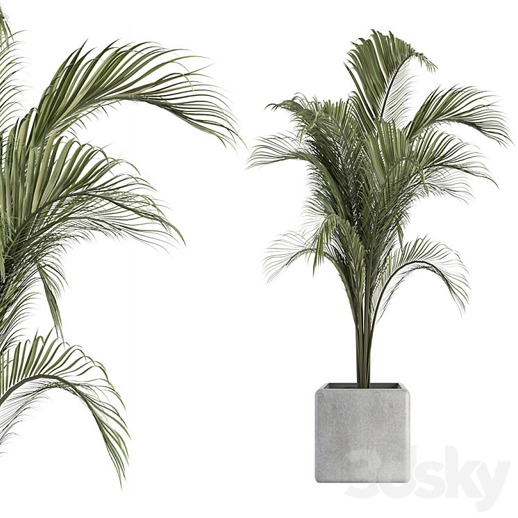 OutDoor Plant No 2 3DS Max - thumbnail 1