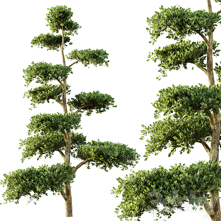 tree set 04 3D Model