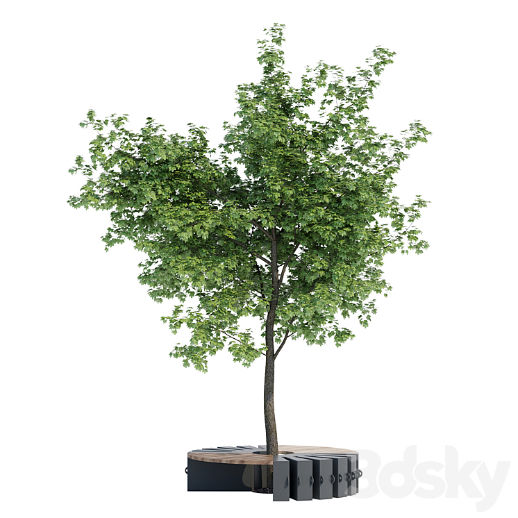 Round B 3D Model