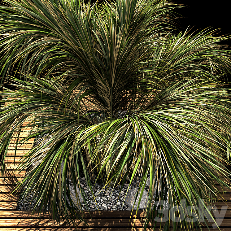 palm tree 3DS Max - thumbnail 2