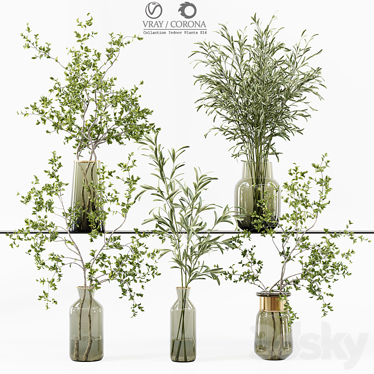 Collection Indoor Plants 016 3DS Max Model - thumbnail 1