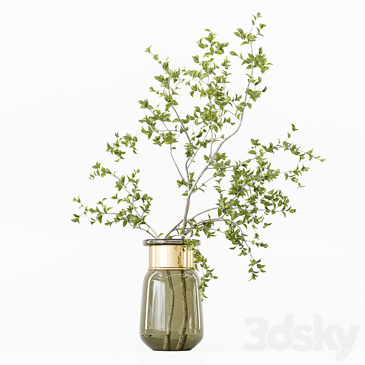 Collection Indoor Plants 016 3DS Max Model - thumbnail 2