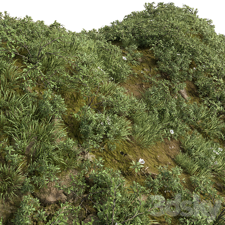 GRASS COLLECTION FOR LANDSCAPE NO12 3D Model