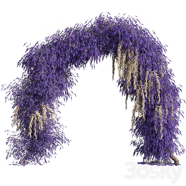 Arch of lavender flowers 3D Model