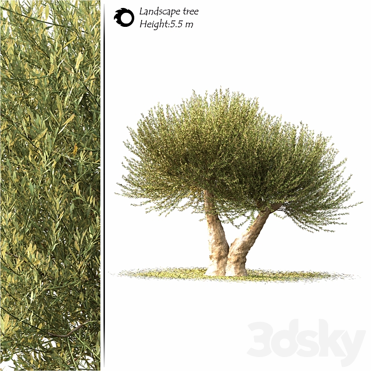 Landscape tree - Tree - 3D model
