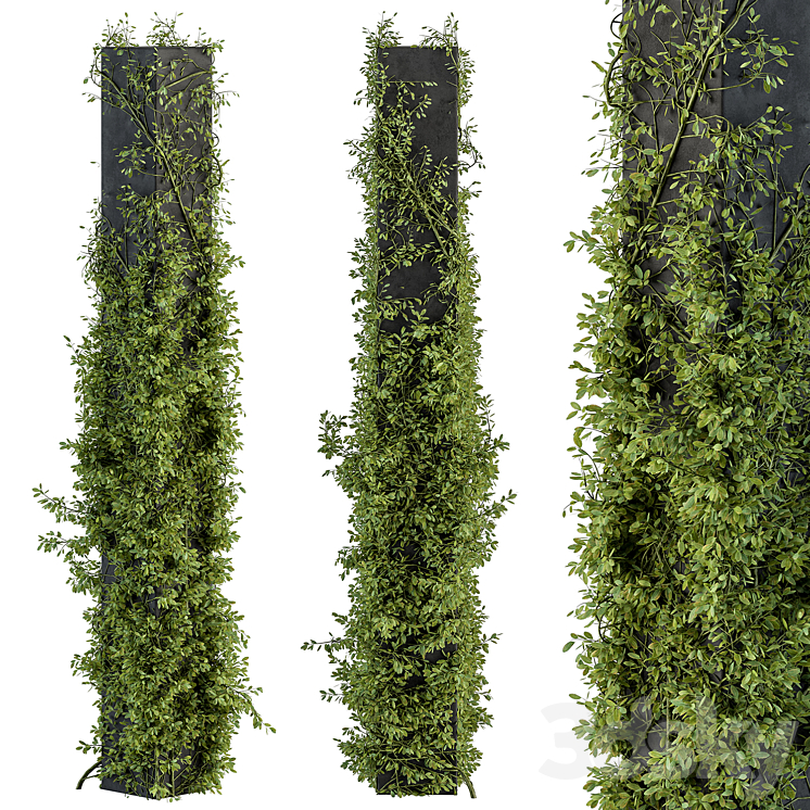 Outdoor Plant Set 394 – ivy on Column 3DS Max - thumbnail 1