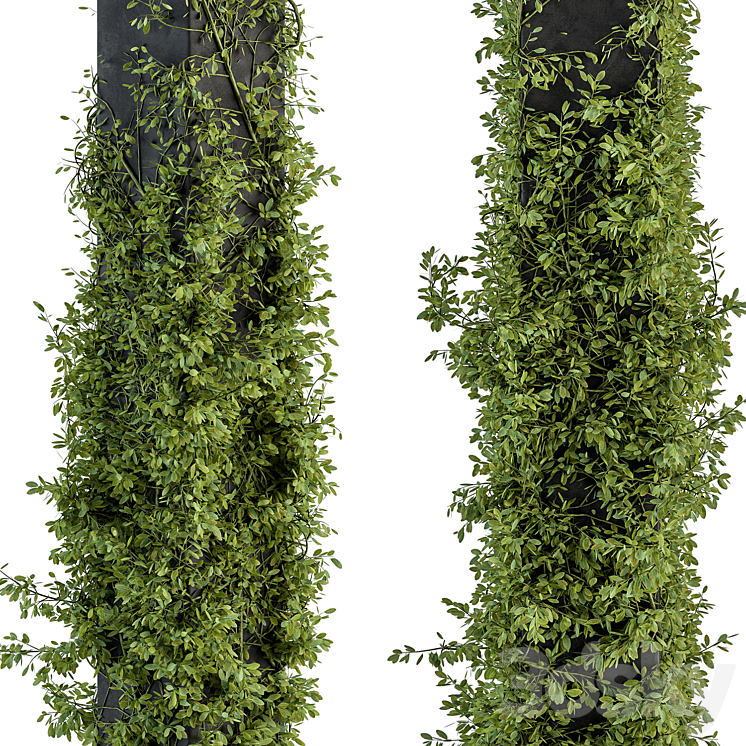 Outdoor Plant Set 394 – ivy on Column 3DS Max - thumbnail 2