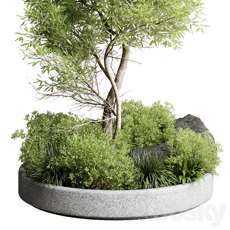 Collection outdoor indoor 85 pot plant & tree & bush 3DS Max - thumbnail 2