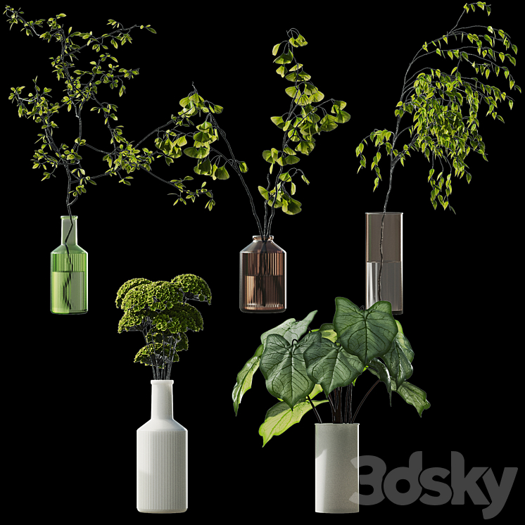 plant collection 4 3DS Max Model - thumbnail 2