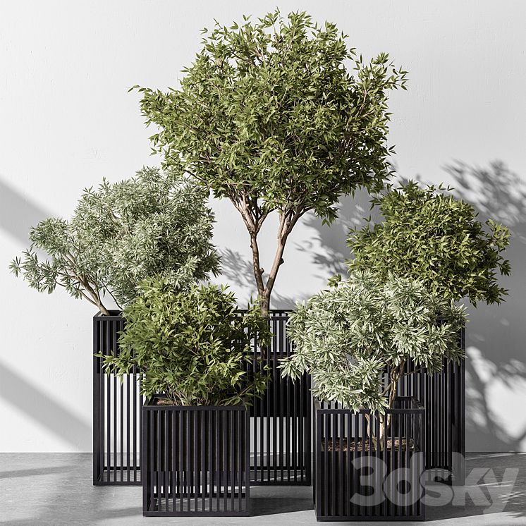 indoor Plant Set 380- Tree and Plant Set in pot 3D Model