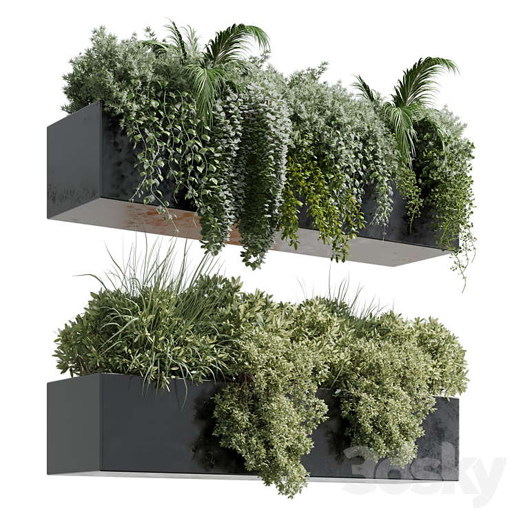wall plant – hanging plants collection Indoor plant 219 3DS Max - thumbnail 1