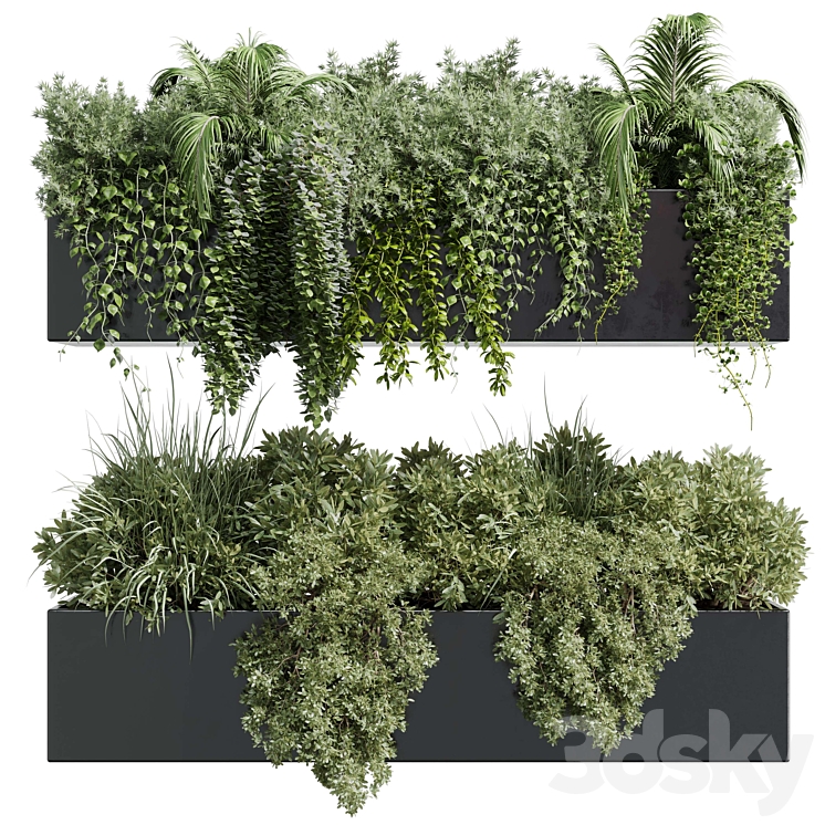 wall plant – hanging plants collection Indoor plant 219 3DS Max - thumbnail 2