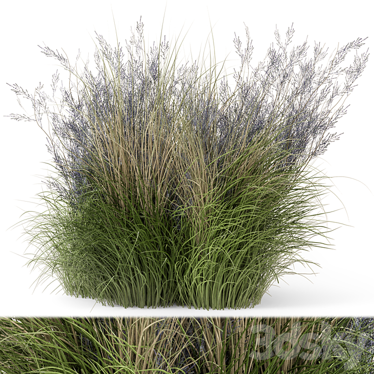 Outdoor Plants Bush-Bush Set 660 3D Model