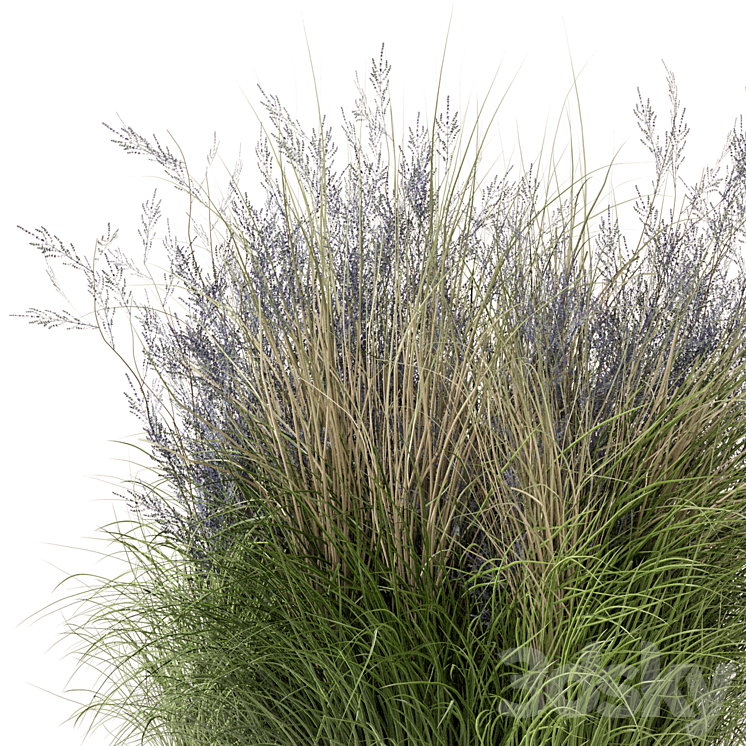 Outdoor Plants Bush-Bush Set 660 3D Model Free