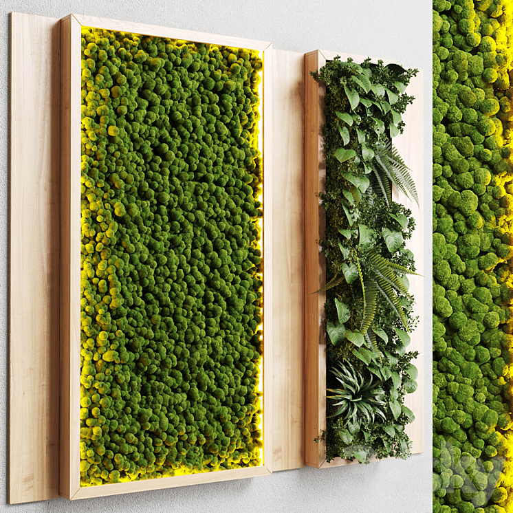 wall garden and vertical moss in wooden frame 22 3D Model