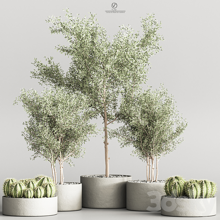 Cactus & Plant indoor vray 3DS Max Model - thumbnail 1
