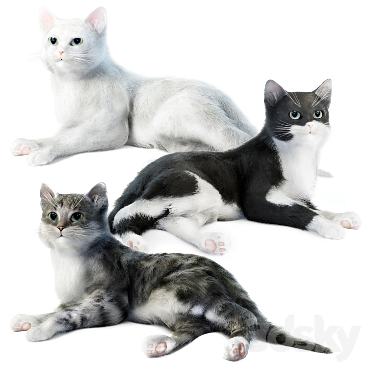 Relaxing cat 1 3D Model