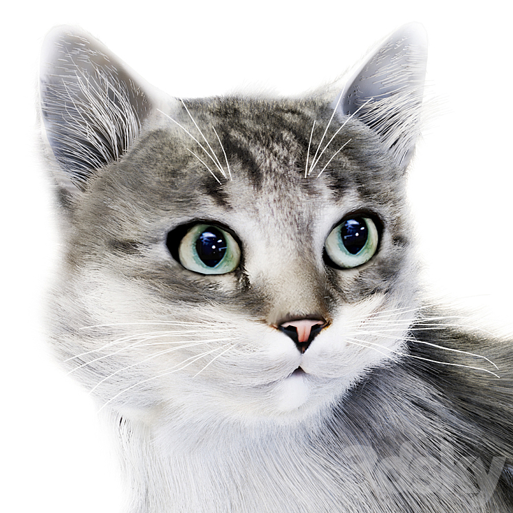 Relaxing cat 1 3D Model