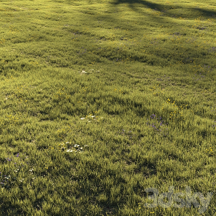 Grass and Flower 3D Model