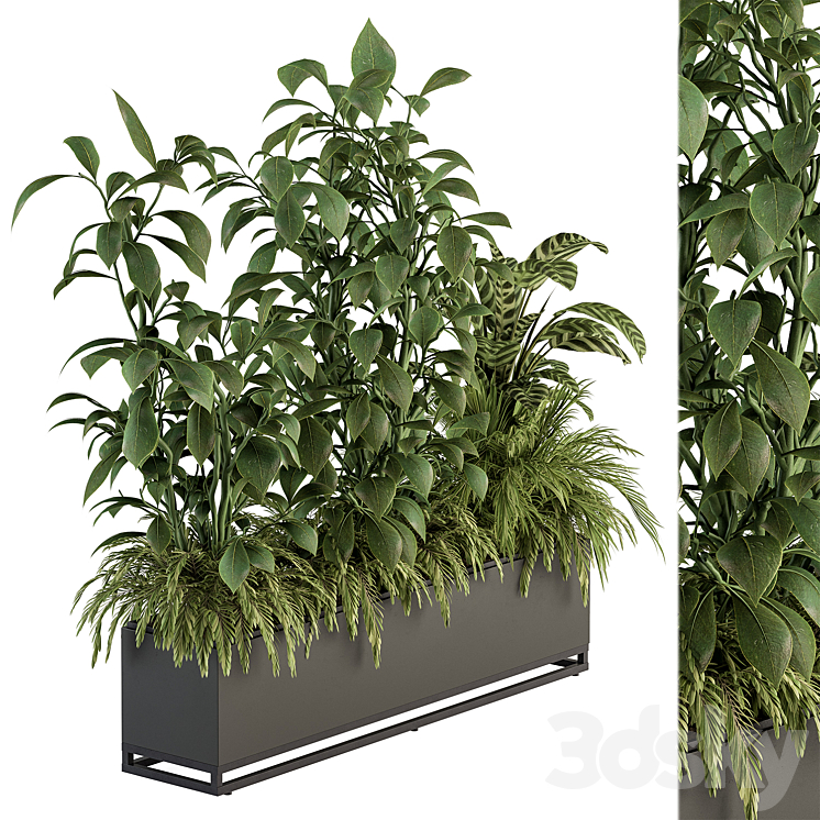 indoor Plant Set 383 – Plant Set in Box 3DS Max - thumbnail 1