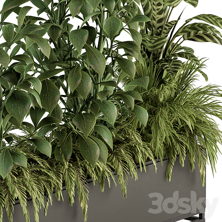 indoor Plant Set 383 – Plant Set in Box 3DS Max - thumbnail 2