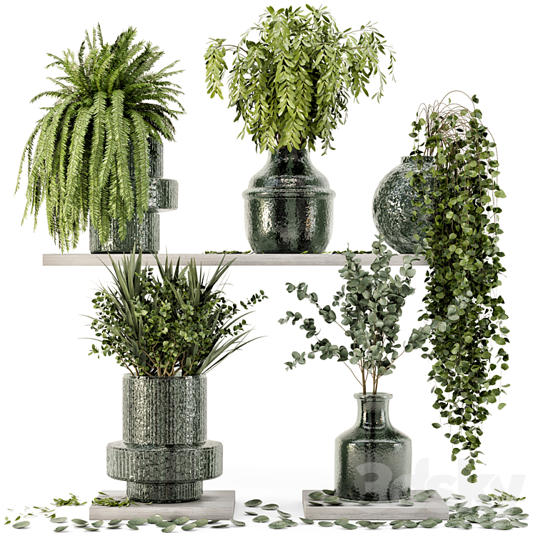 Collection Indoor Plants in Glass Pots – Set 695 3DS Max Model - thumbnail 1