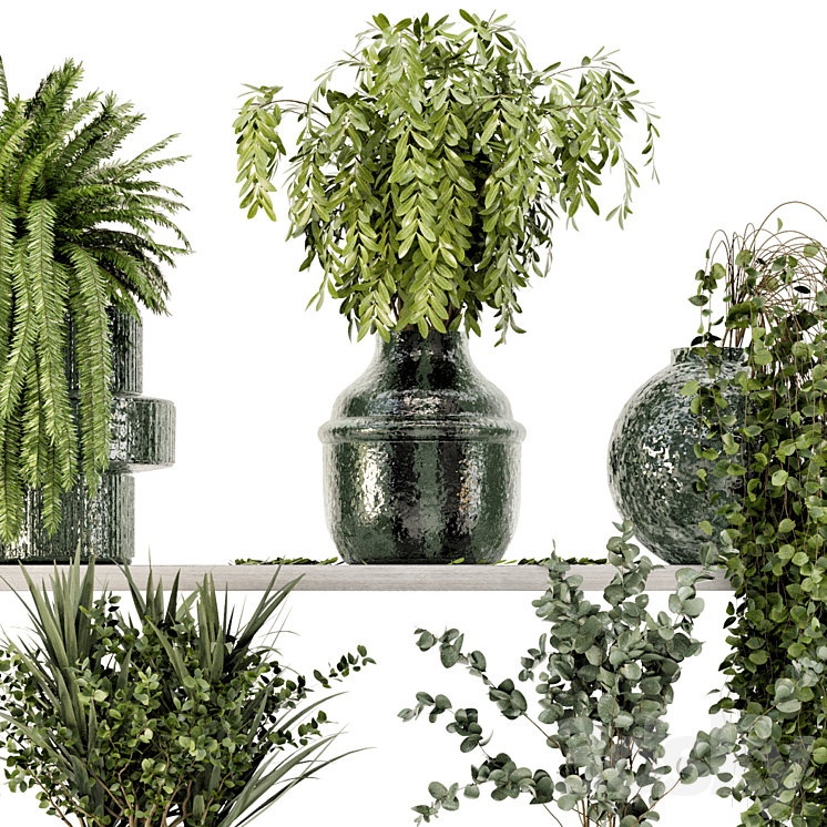 Collection Indoor Plants in Glass Pots – Set 695 3DS Max Model - thumbnail 2