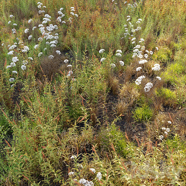 Meadow_10 3D Model