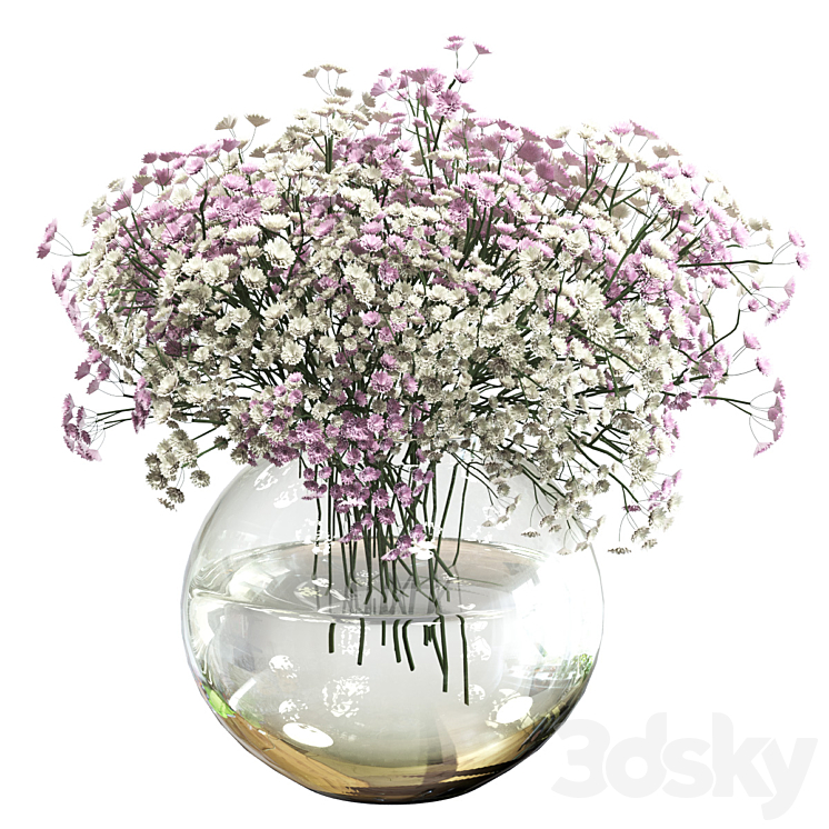 Bouquet of white and pink gypsophila 3DS Max - thumbnail 1