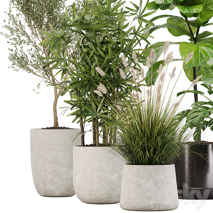 indoor plant set 32 3D Model