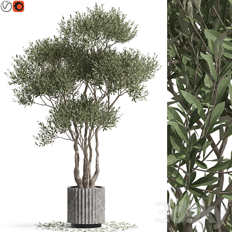 Plants collection 723 3DS Max Model - thumbnail 1
