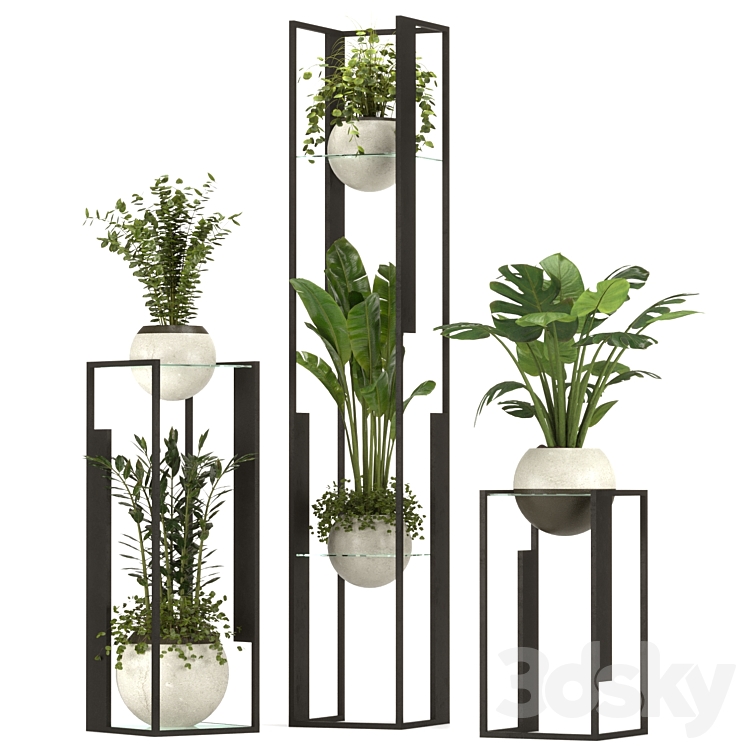 Collection Indoor Plants Nim12 3DS Max - thumbnail 1