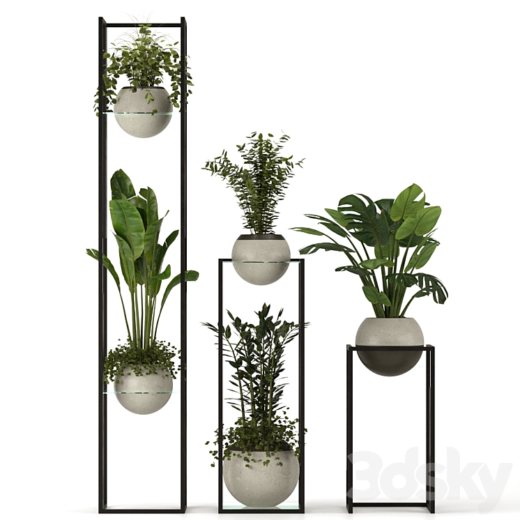 Collection Indoor Plants Nim12 3DS Max Model - thumbnail 2