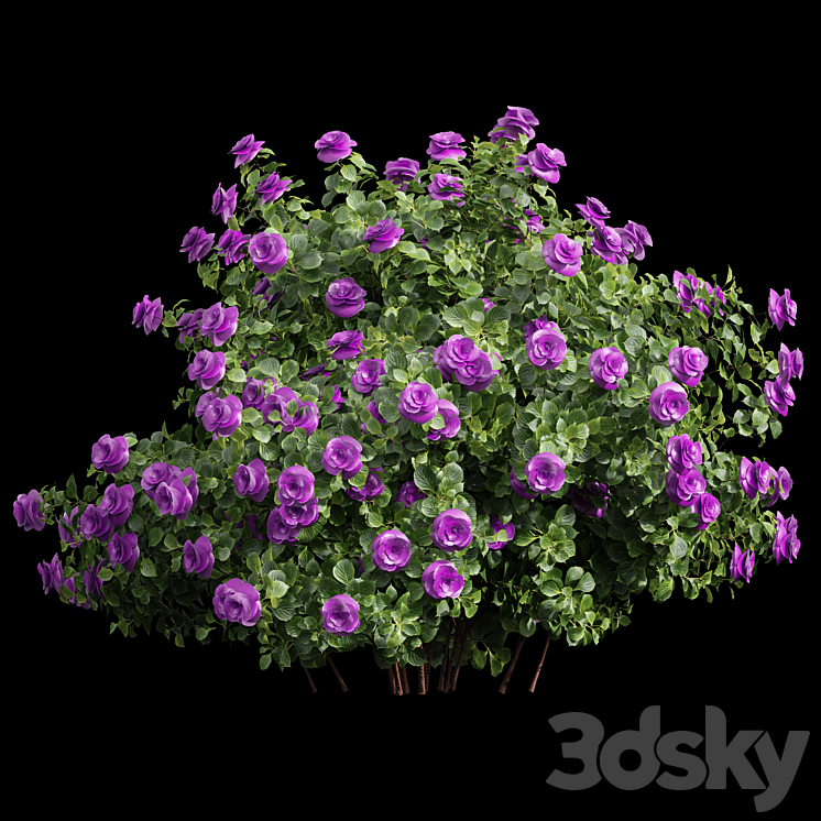 New Plant High detail Climbing Roses Bush 3DS Max - thumbnail 2