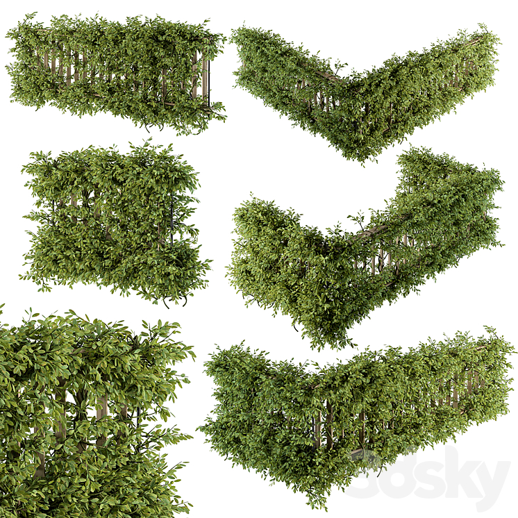 Outdoor Wood Fence with Ivy Plants – Fence 07 3D Model