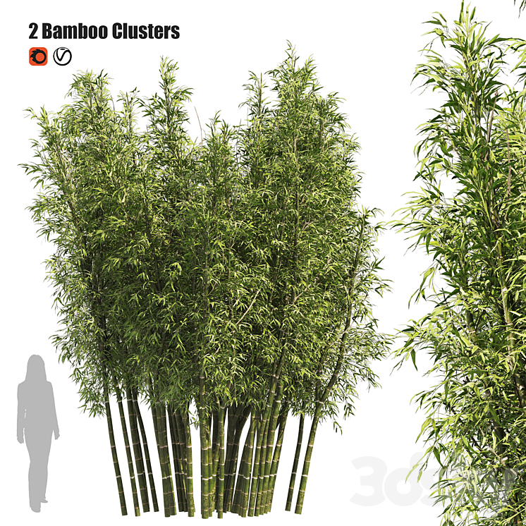 2 Bamboo Clusters 3DS Max - thumbnail 1