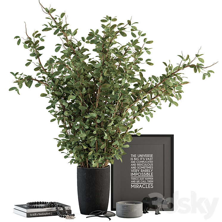 Vase and Plant Decorative Set - Set 119