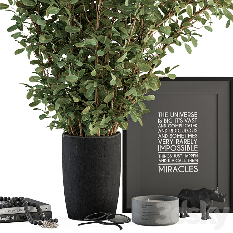 Vase and Plant Decorative Set - Set 119 3D Model