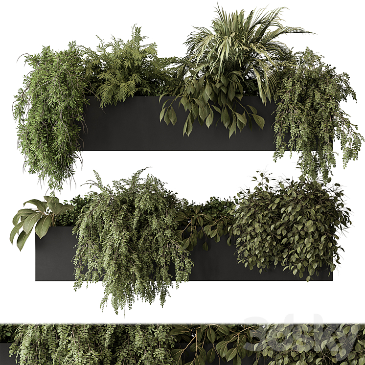 indoor Plant Set 297 – Hanging Plants 3DS Max - thumbnail 1