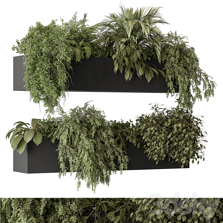 indoor Plant Set 297 – Hanging Plants 3DS Max - thumbnail 2