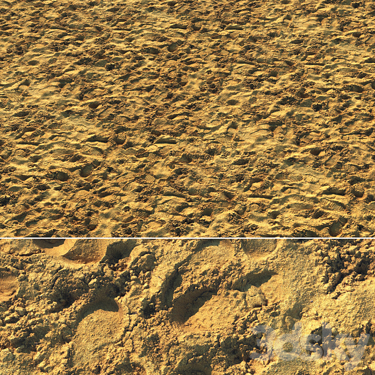 Wet sand material with footprints Free Download