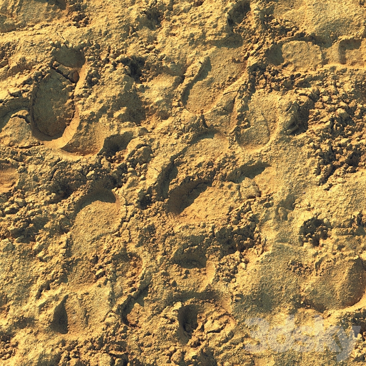 Wet sand material with footprints 3D Model Free