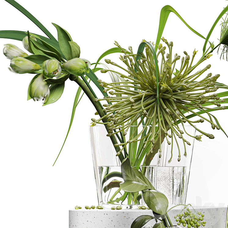 Decor set 047 with green plants AALTO VASE 3D Model