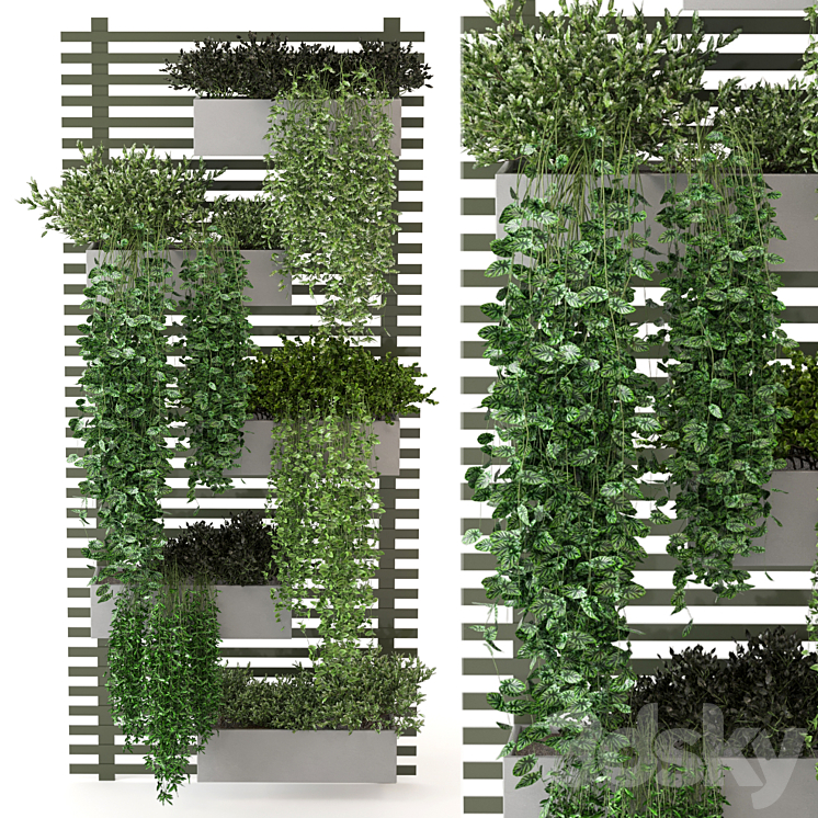Indoor Plants Collection – Set 393 3D Model